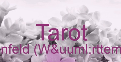 Tarot Rosenfeld (Württemberg) | Top-Experten für Kartenlegen, Wahrsagen, Hellsehen, Zukunftsdeutung.